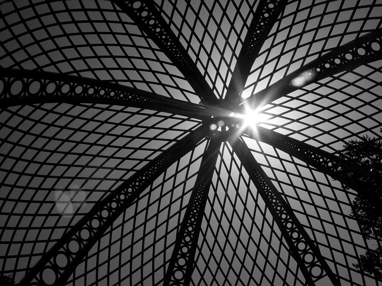 atrium-2.jpg